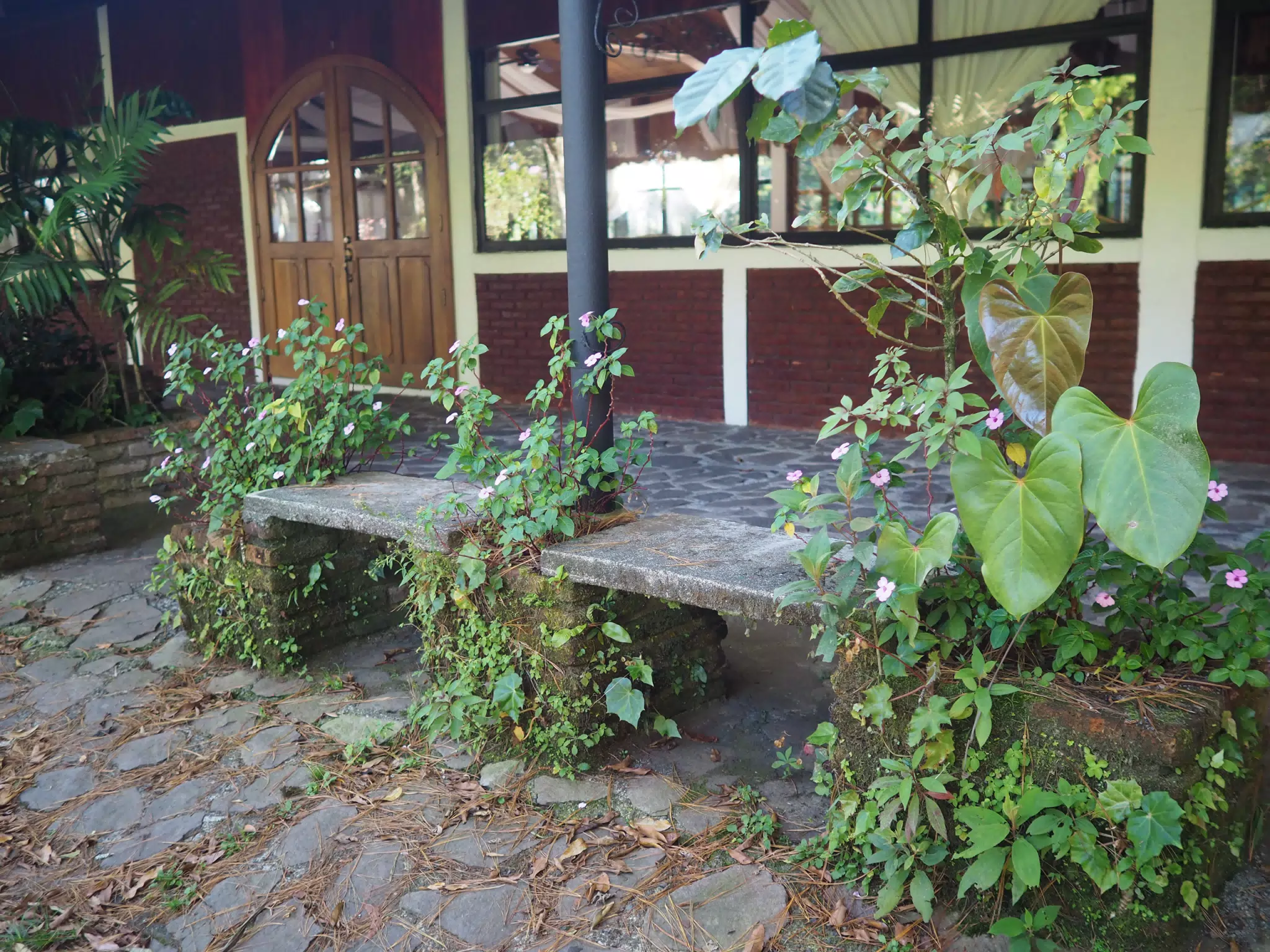 P4260584