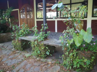P4260584