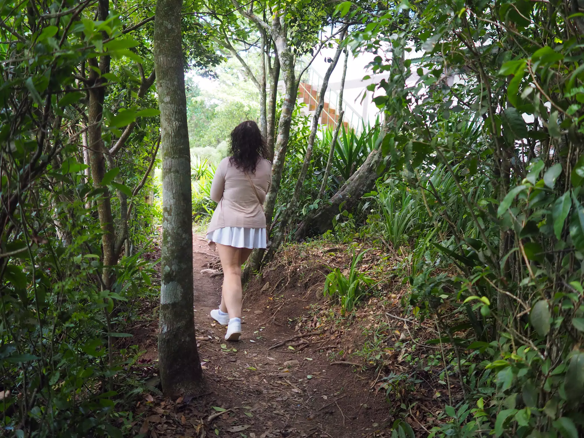 Dominica Walking on Trail in Selva Negra