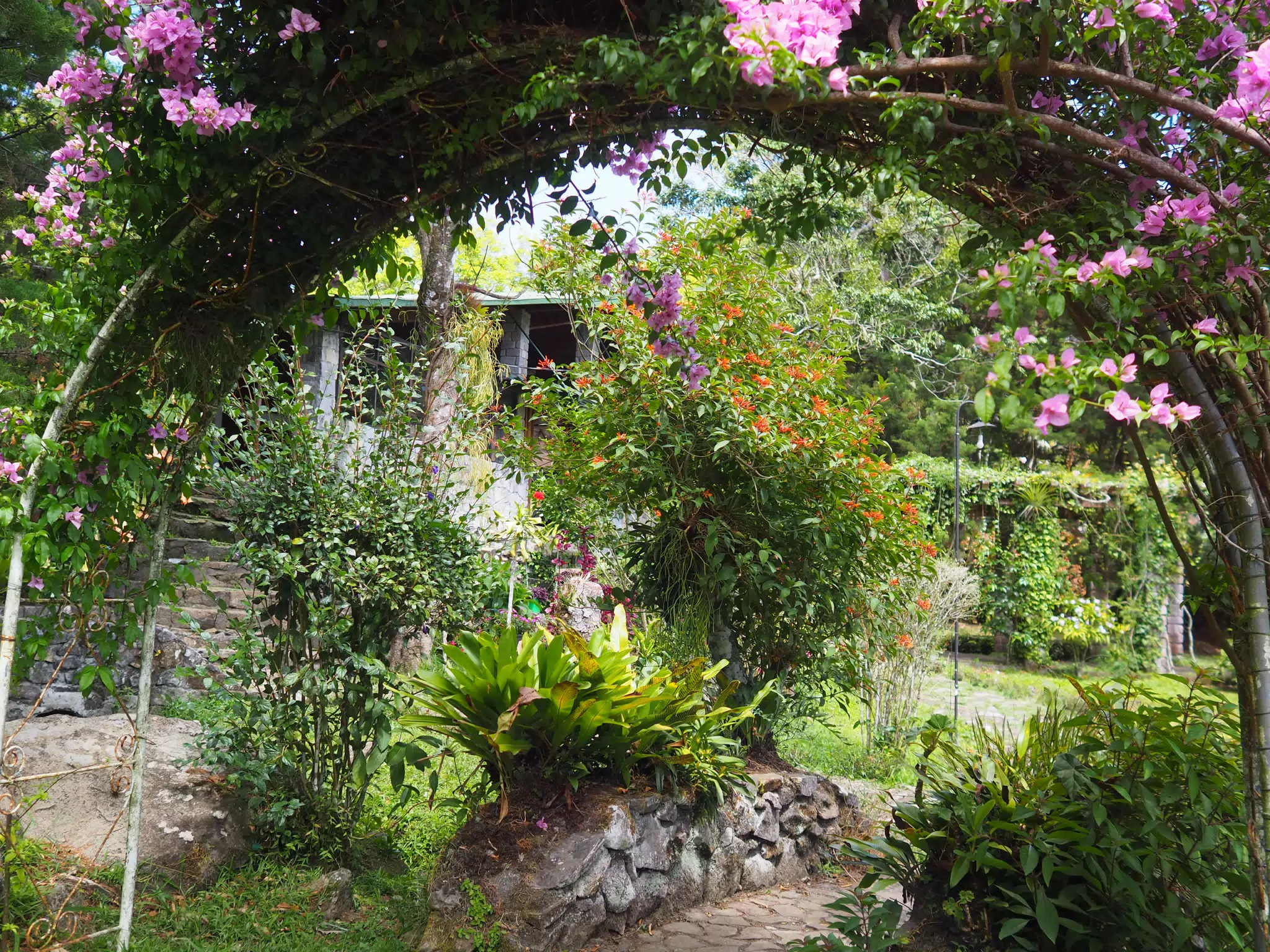 Flower Arch at Selva Negra