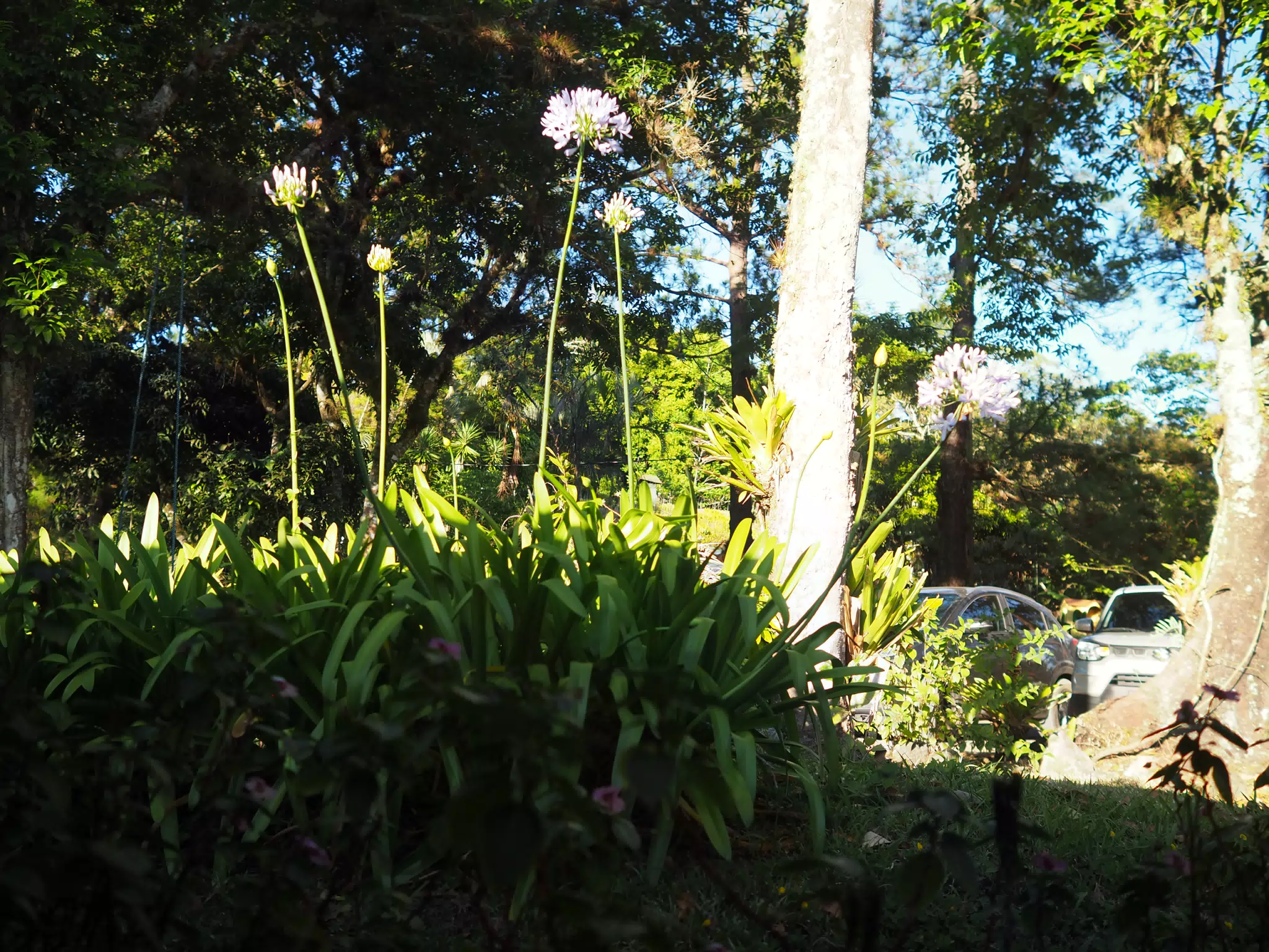 P4260602