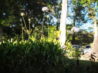 P4260602