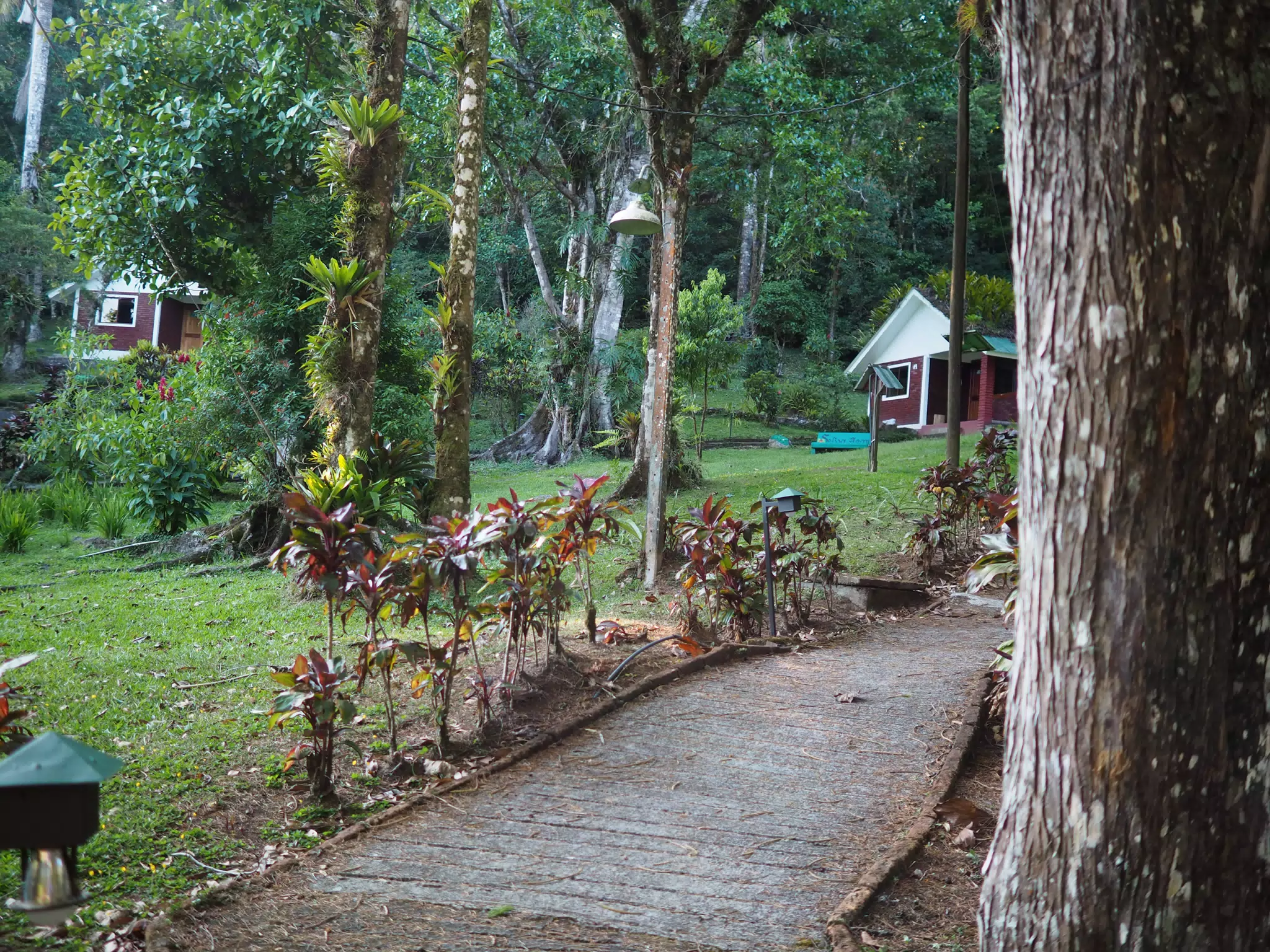 Selva Negra Garden Path, Nicaragua