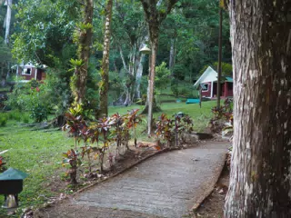 Selva Negra Garden Path, Nicaragua