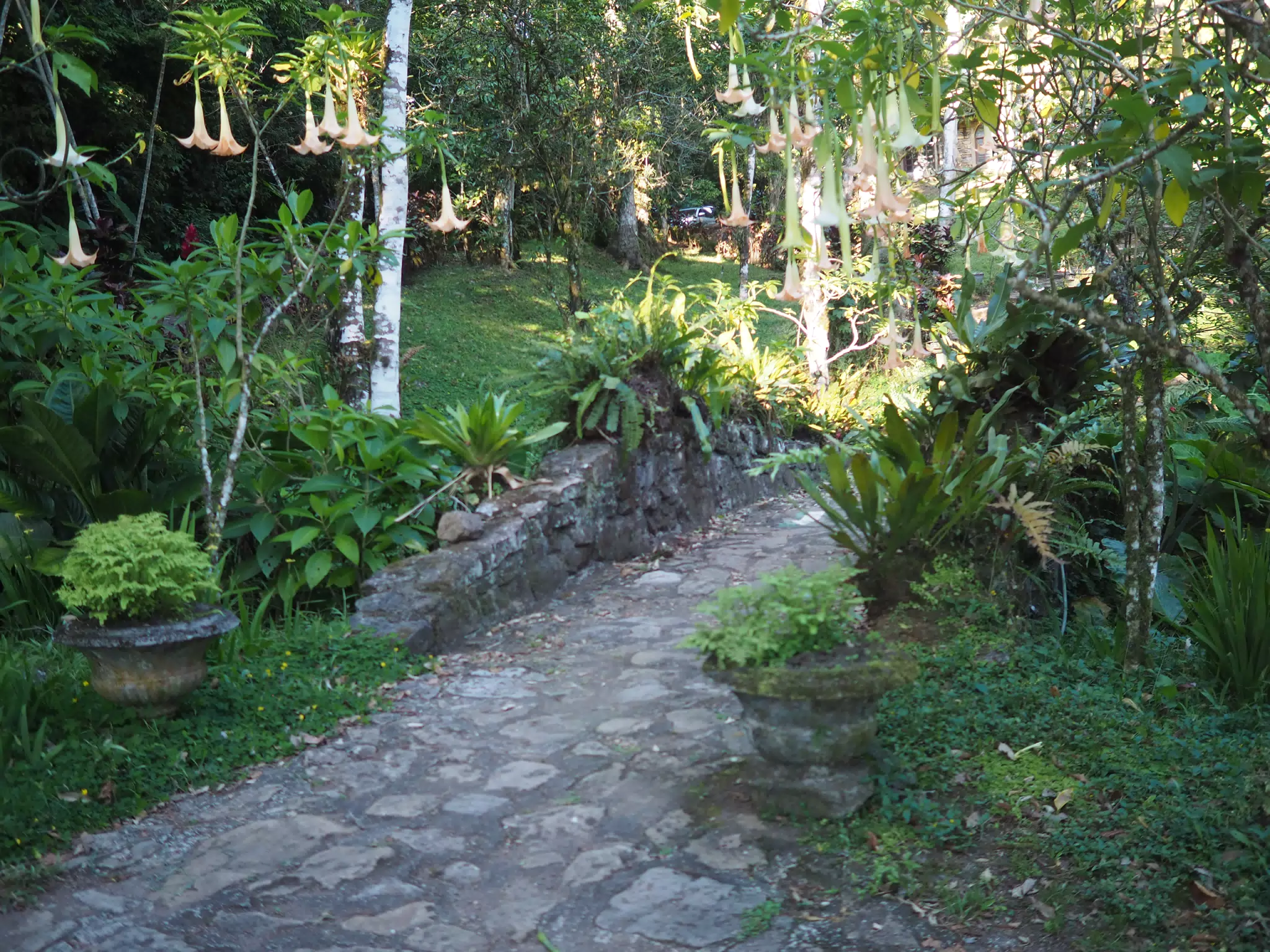 P4260554