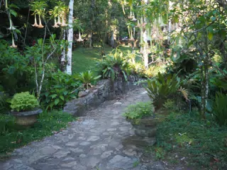 P4260554