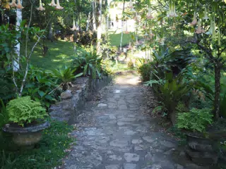 P4260555