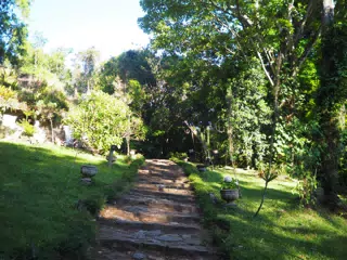 P4260574