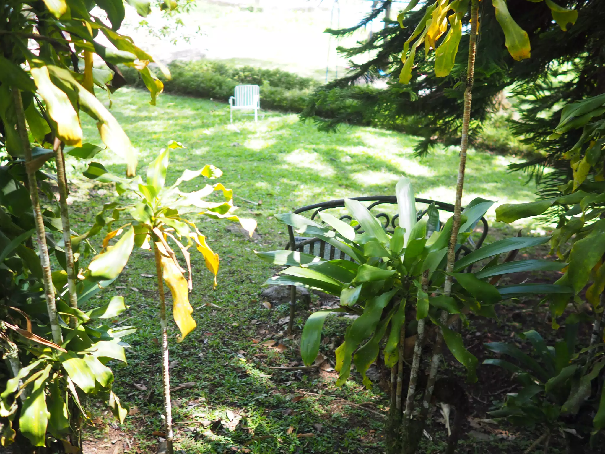 P4260505
