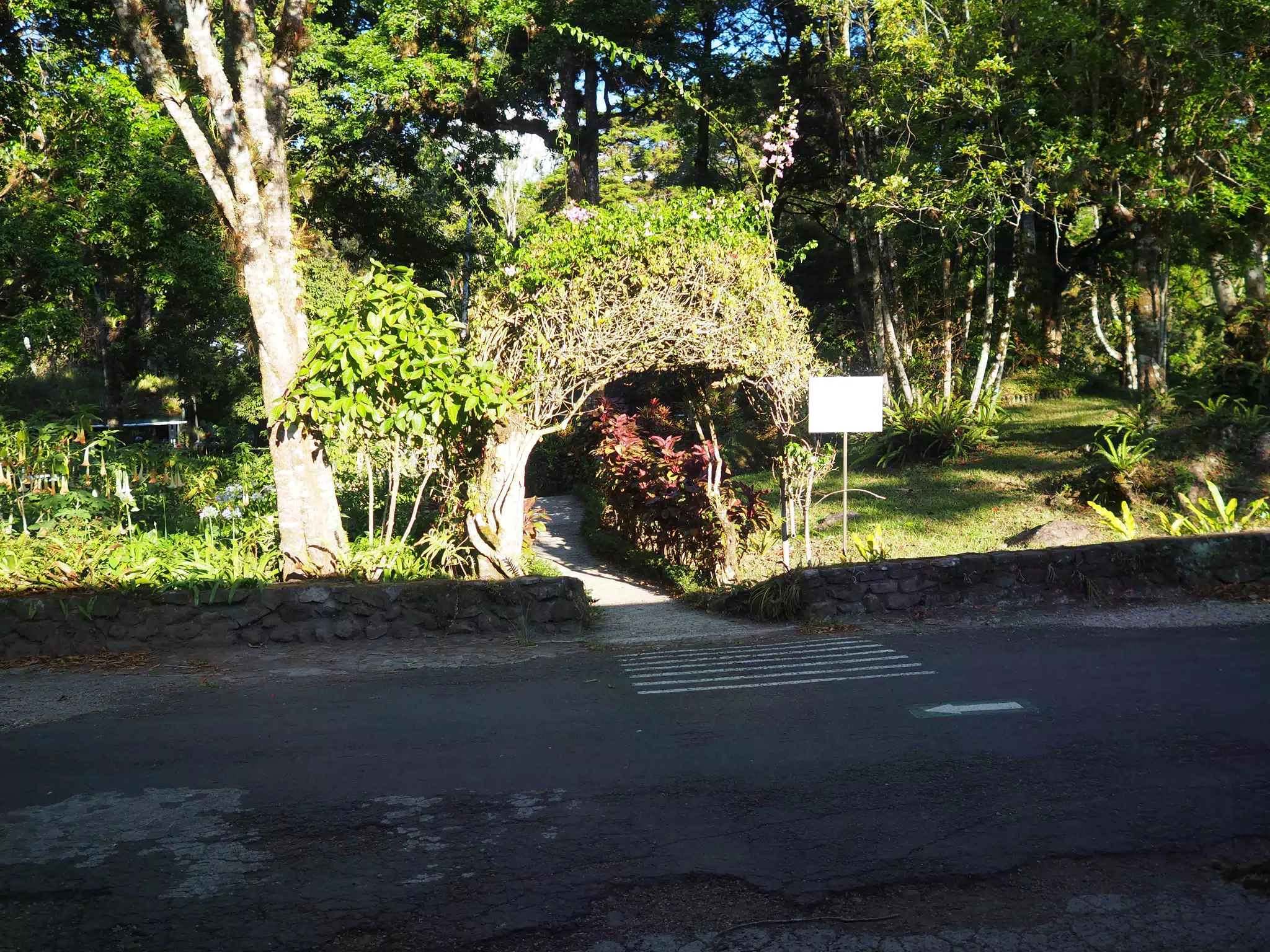 P4260591