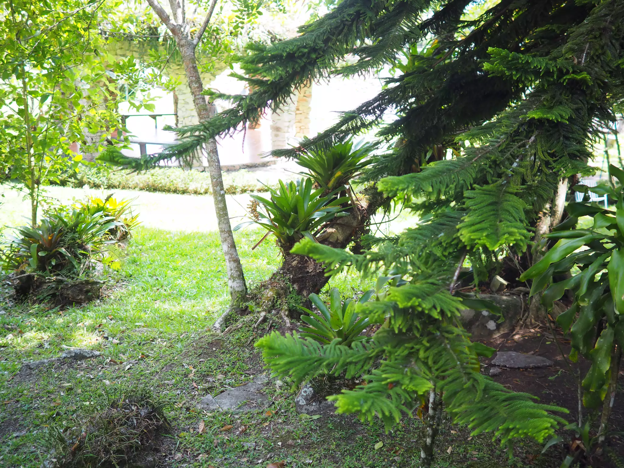P4260504