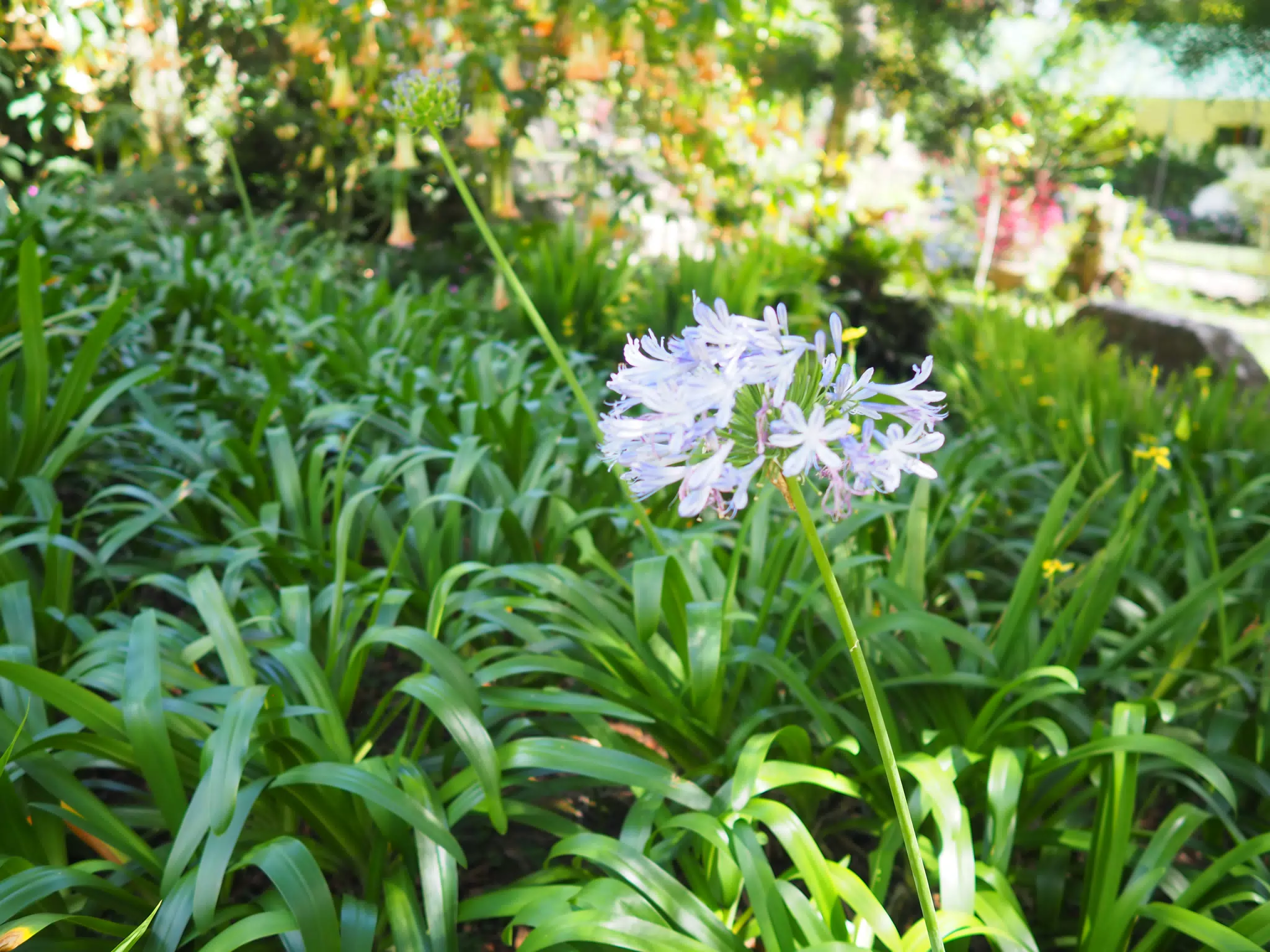 P4260500