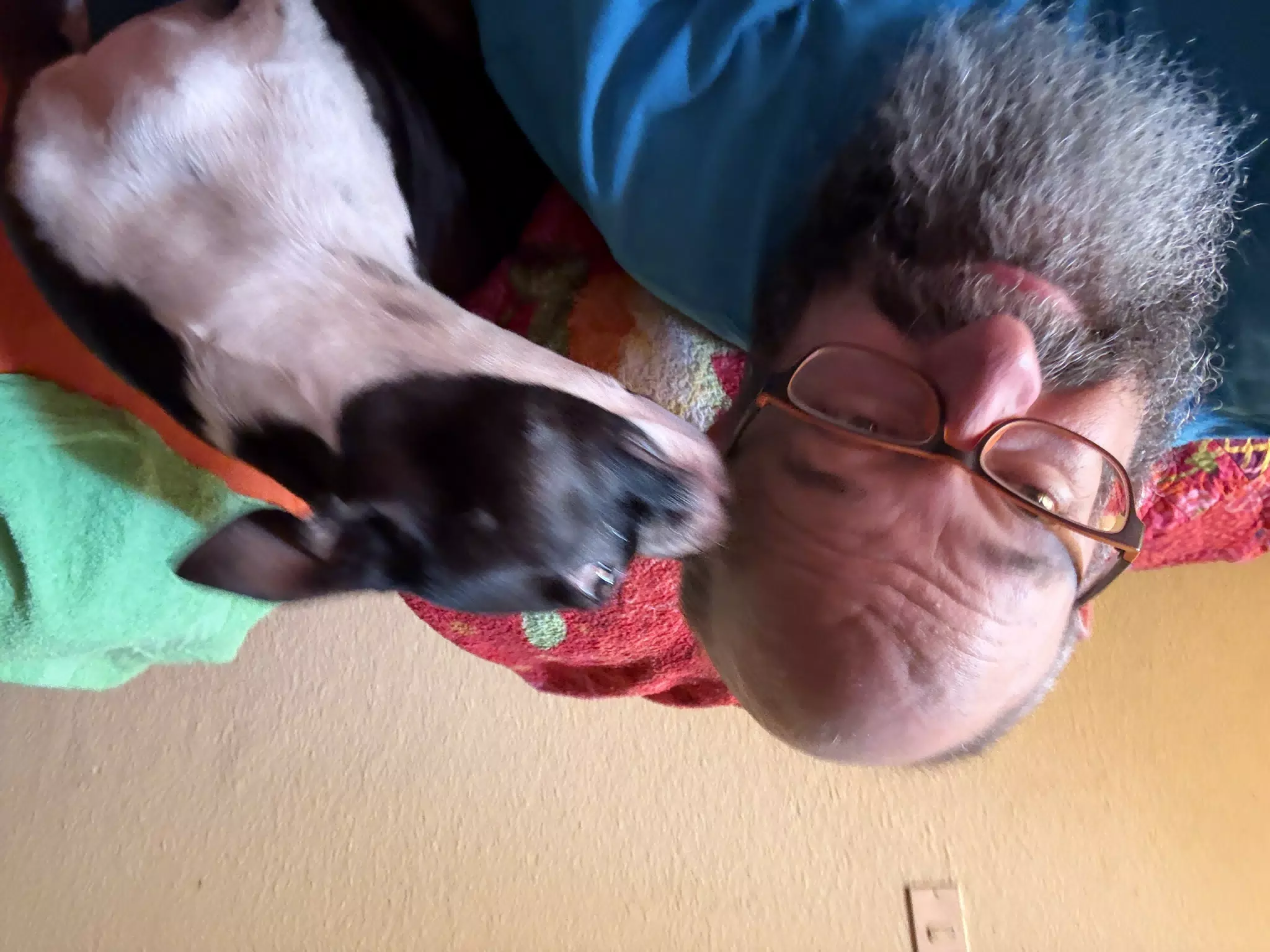 Kisses from Clive the Boston Terrier, Selfie