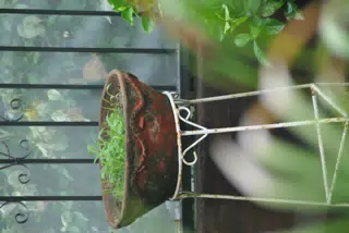 Old Metal Flower Pot Holder in Garden