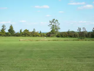 100_0884