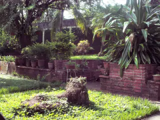 Nicaragua Garden with Vintage Kodak Digital Camera