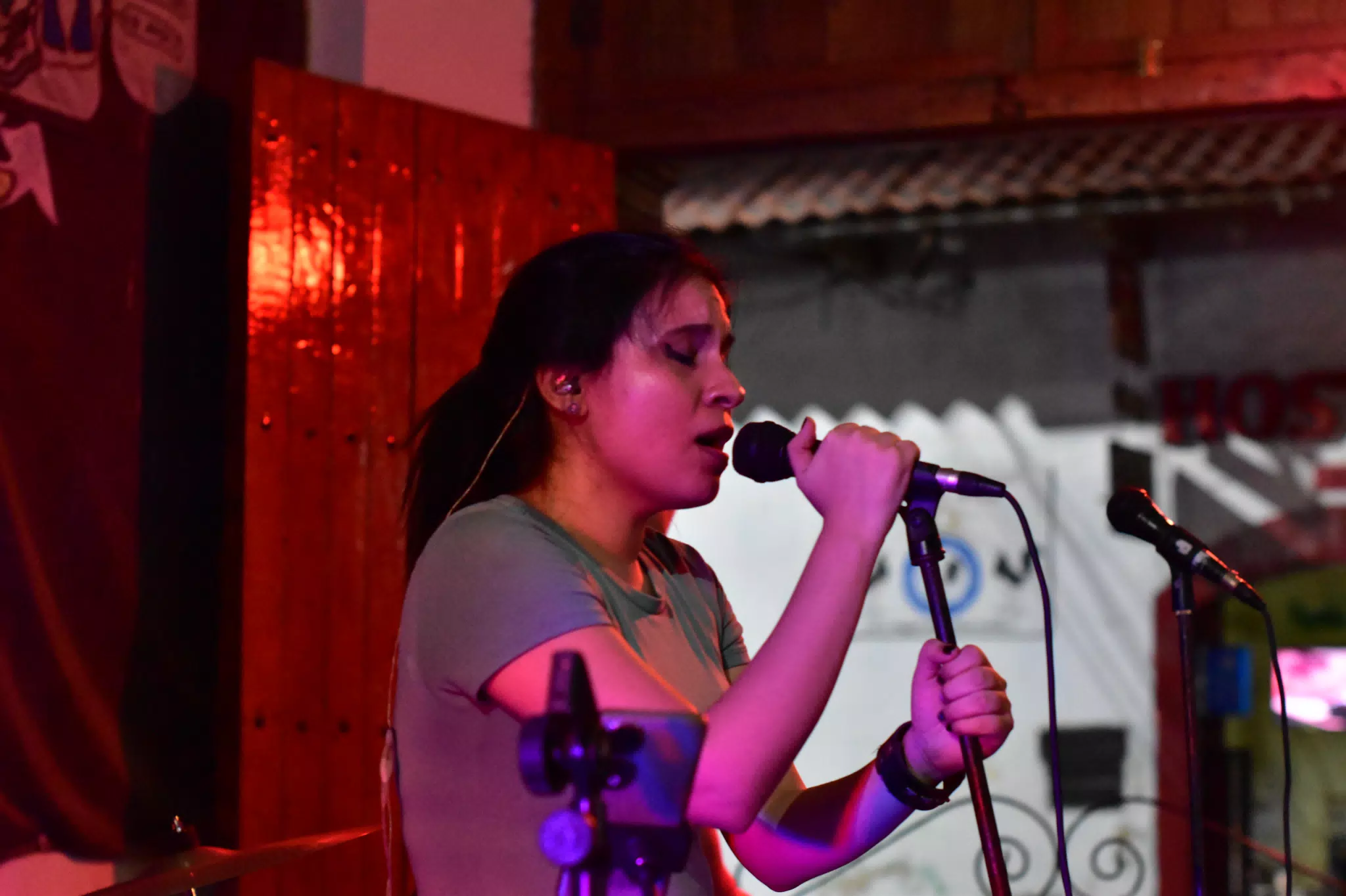 Singer with Fallen Monster