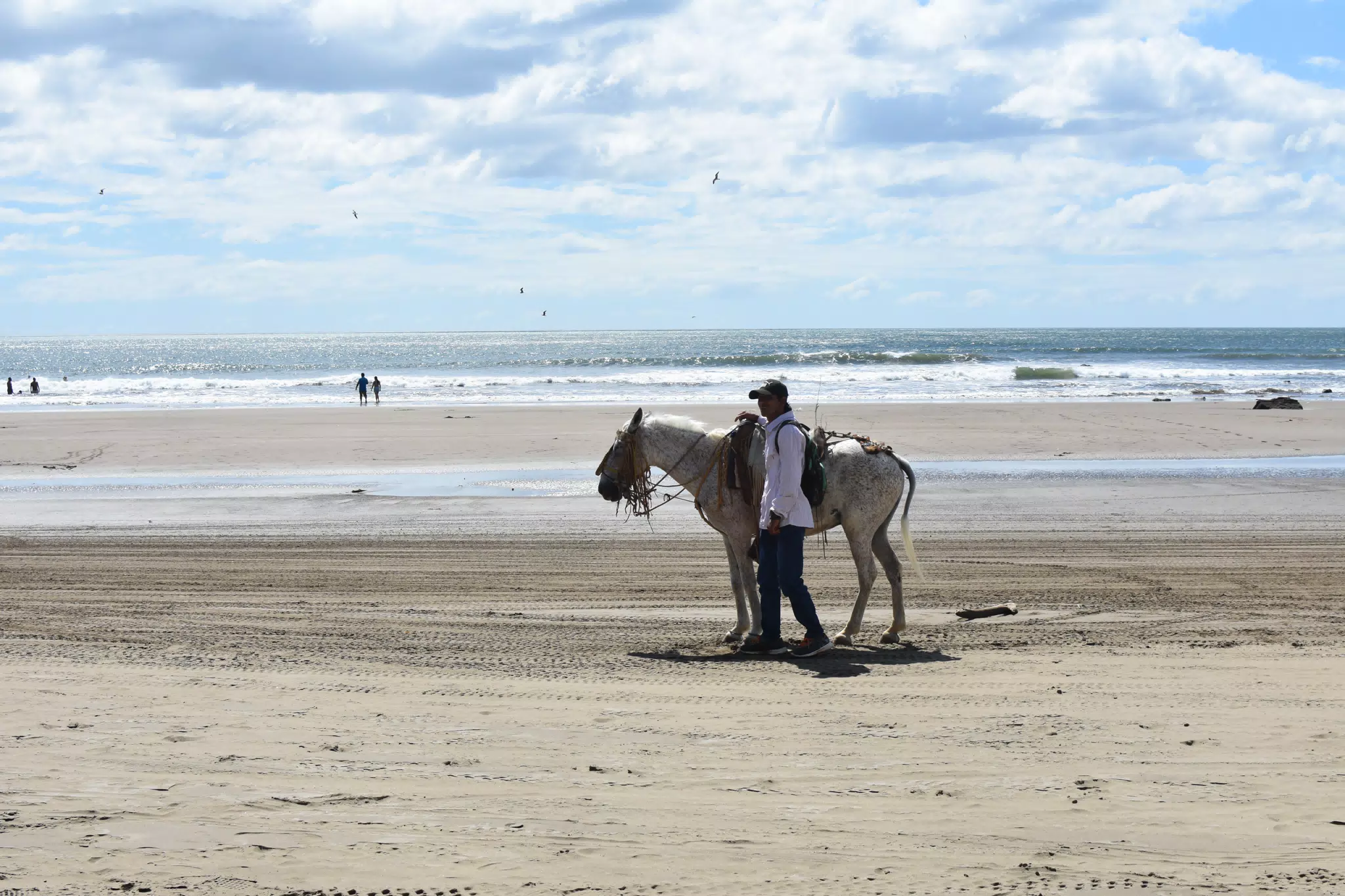 Horse on Beach: La Boquita, Carazo, Nicaragua