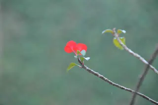 DSC_0328