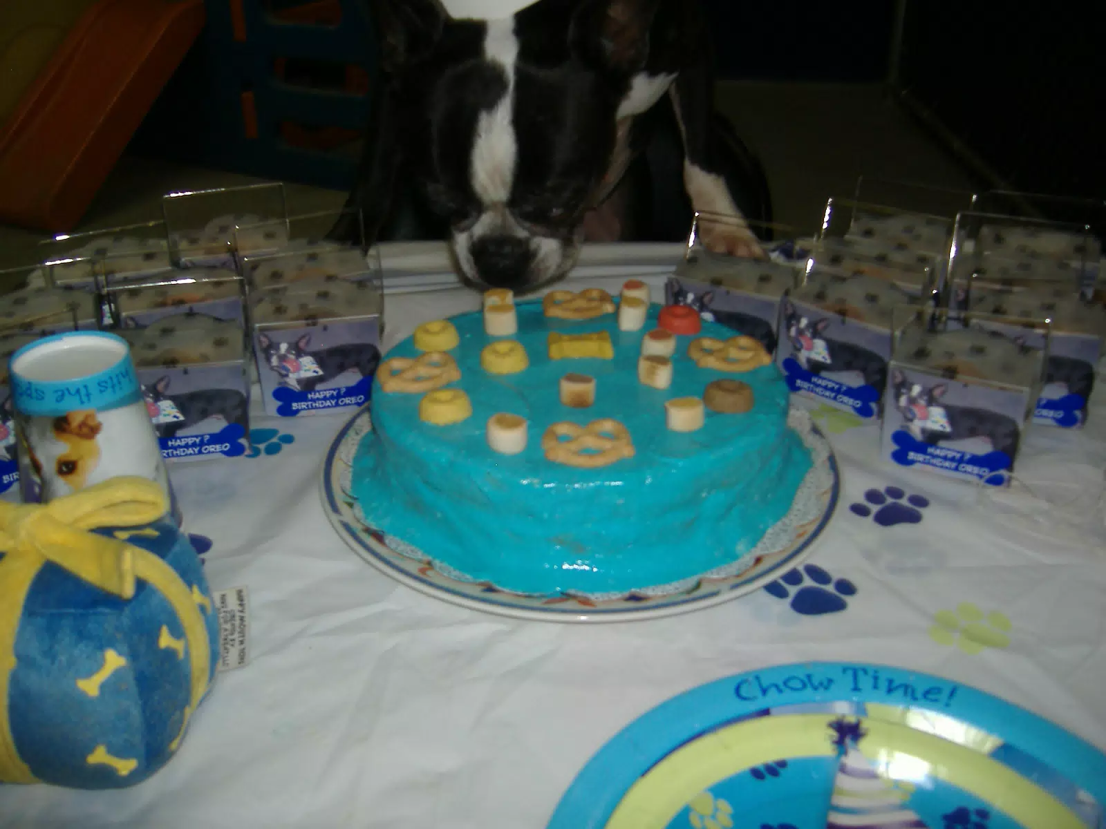 Oreo and His Birthday Cake