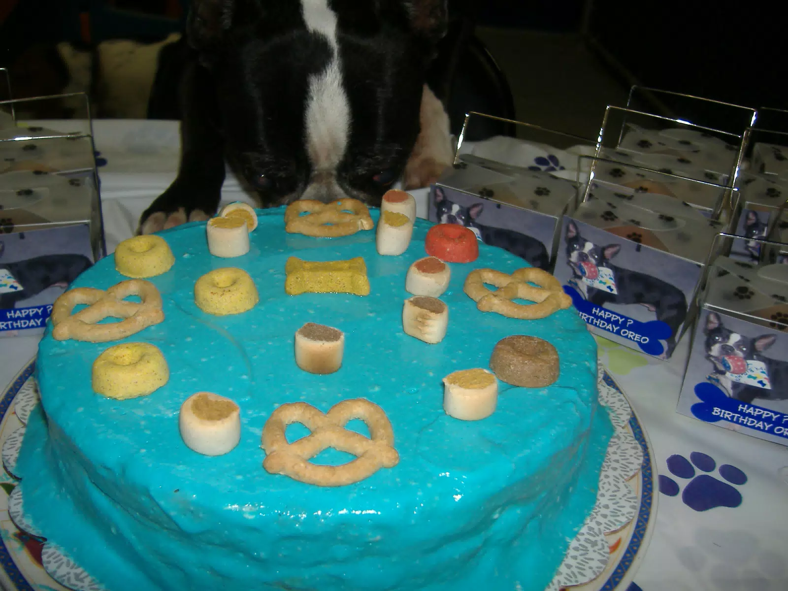 Oreo Lunges for the Birthday Cake