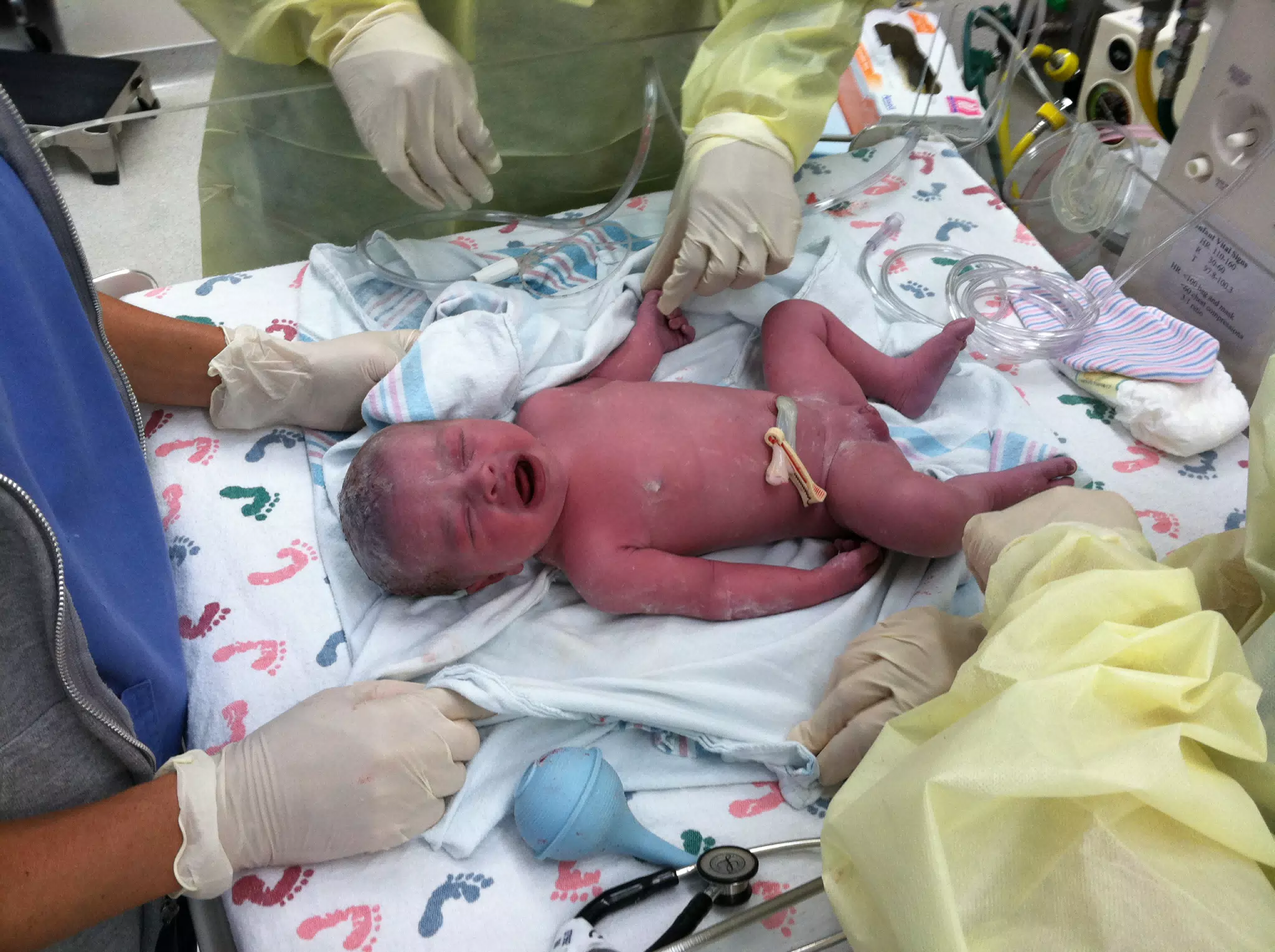 Luciana in the NICU