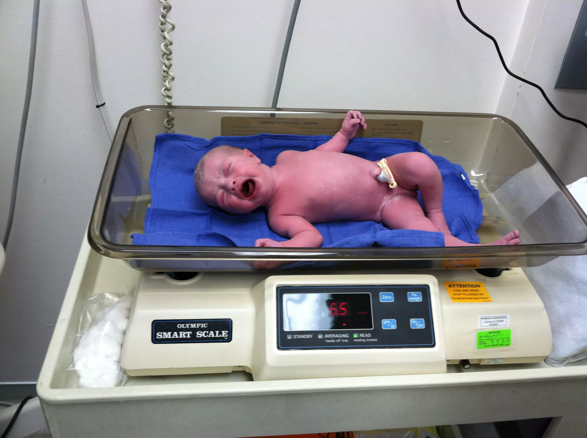 Announcing Luciana Francesca Miller