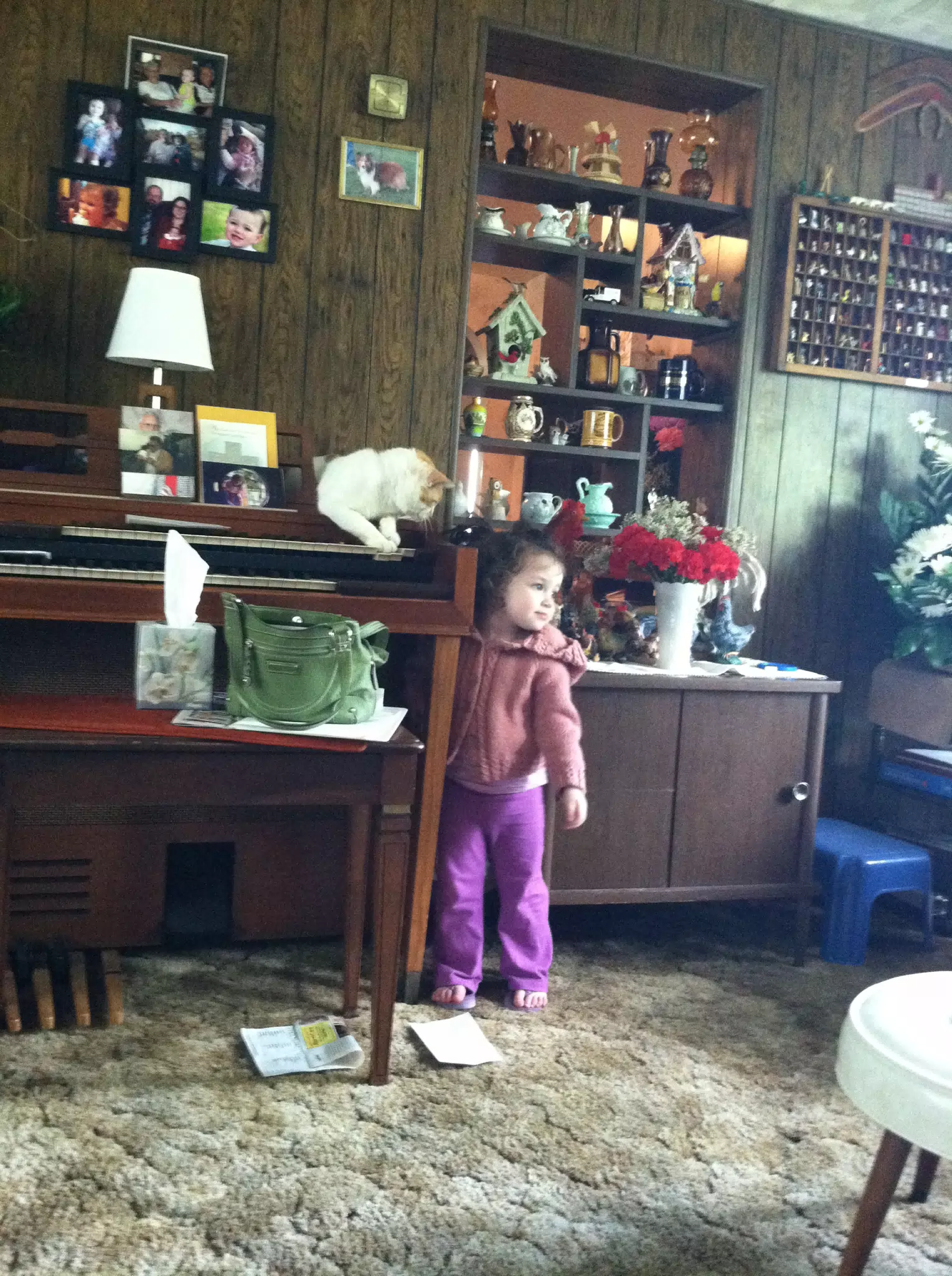 Liesl with Cat on Organ