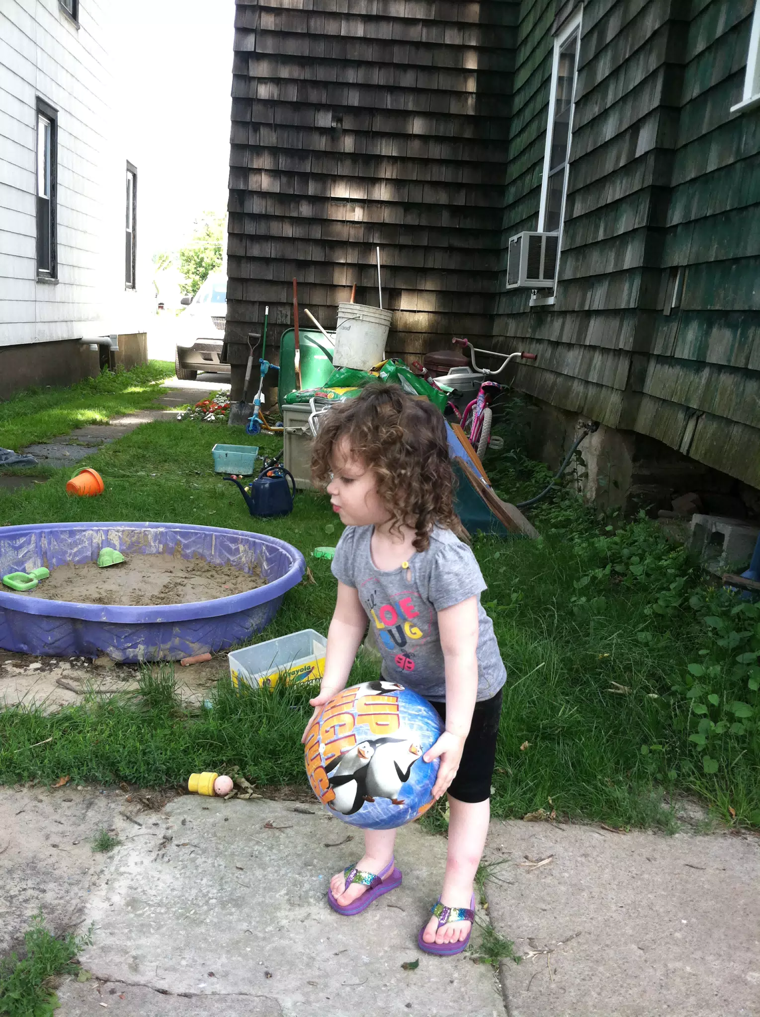 Liesl and Her New Ball
