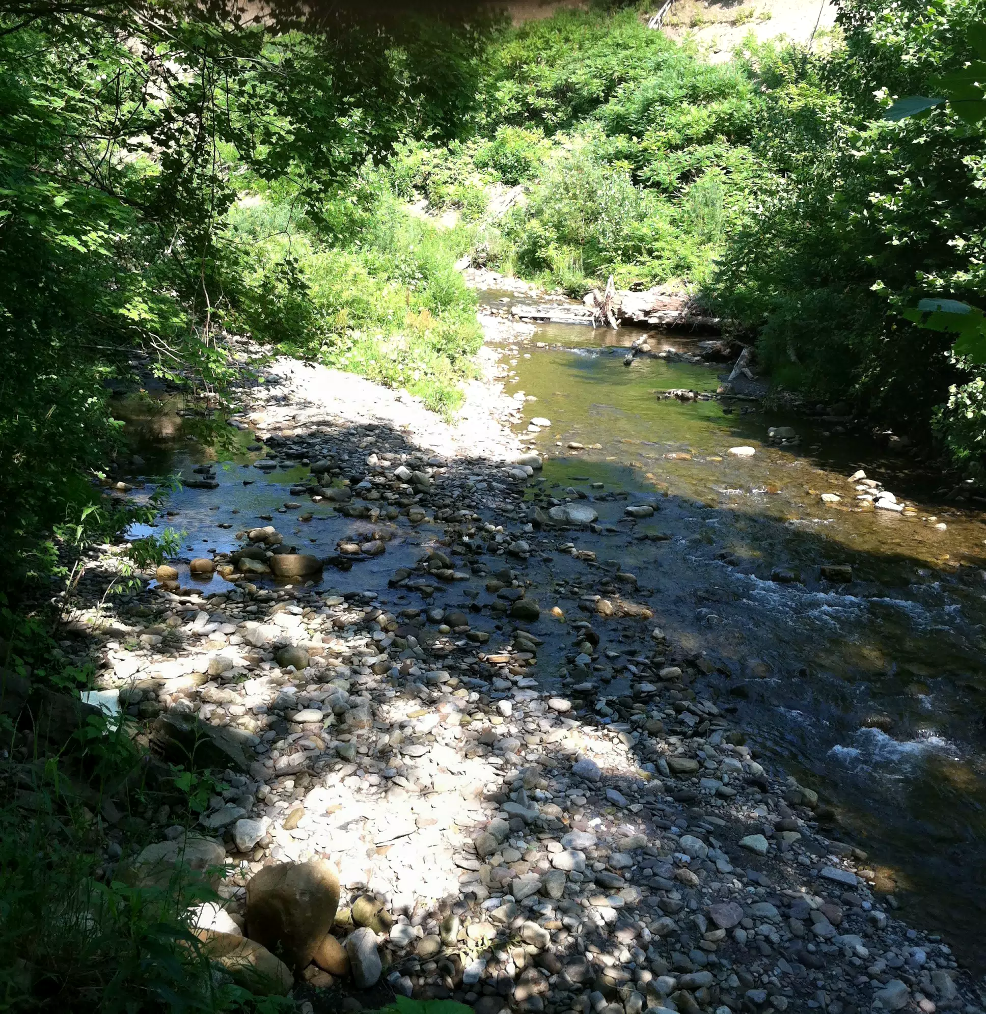 Frankfort Gorge