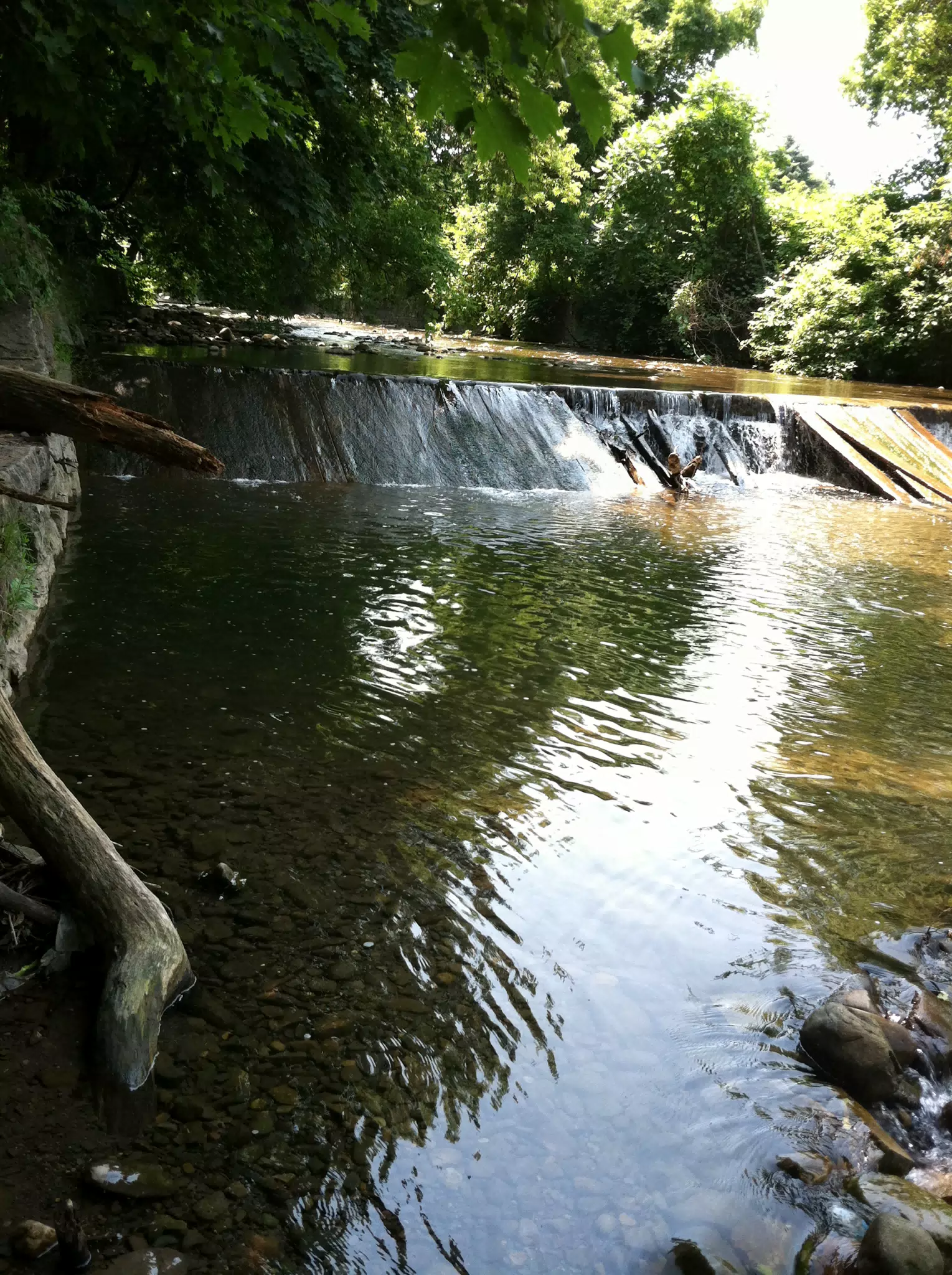 Falls on Moyer Creek Just Before Going into Erie Canal
