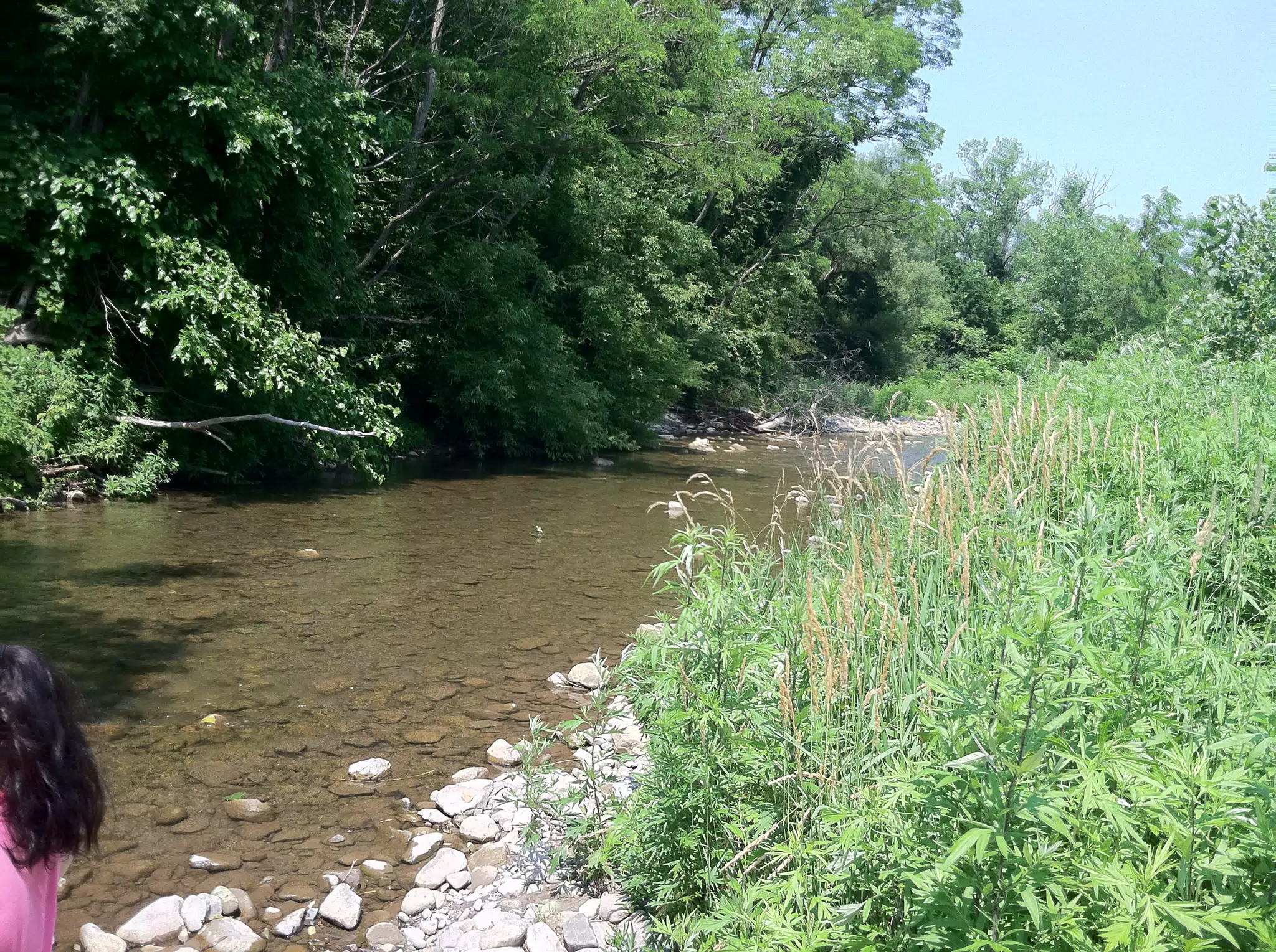 Lower Moyer Creek