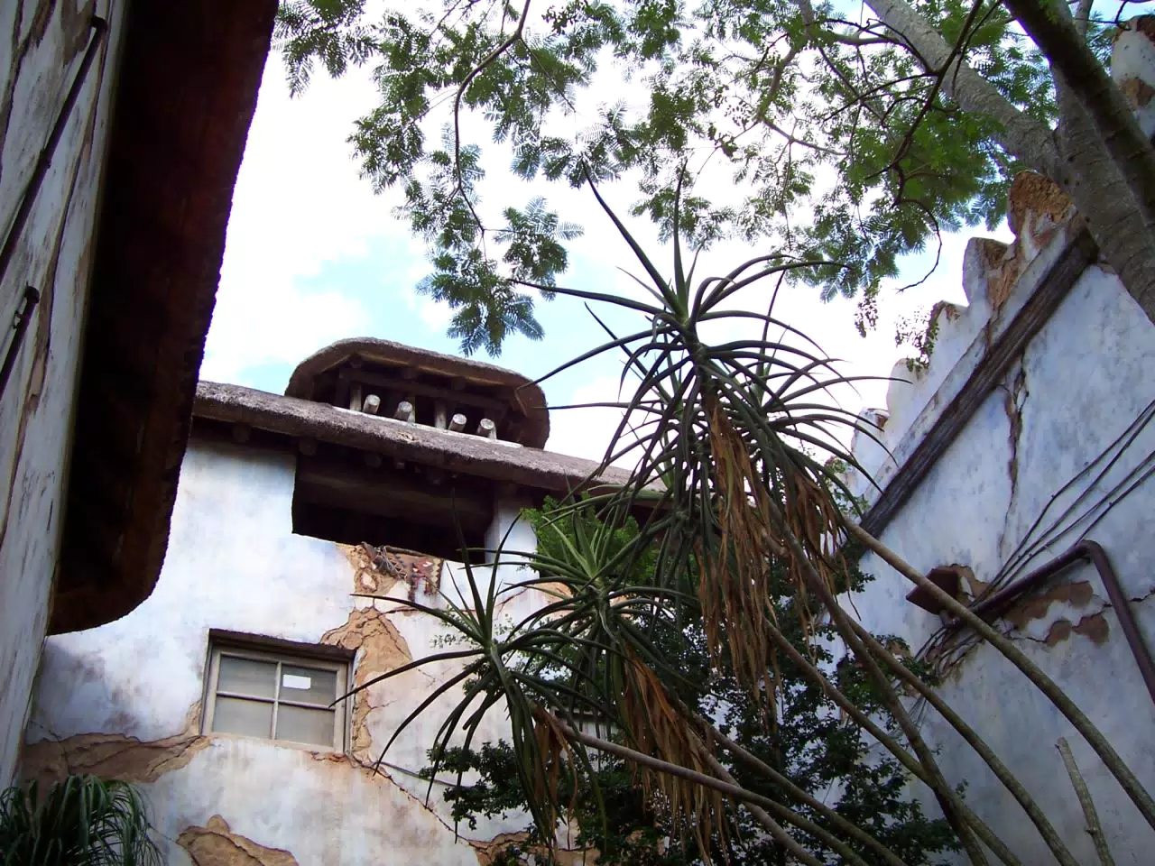 Tusker House