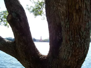 Italy Through Tree in EPCOT WDW