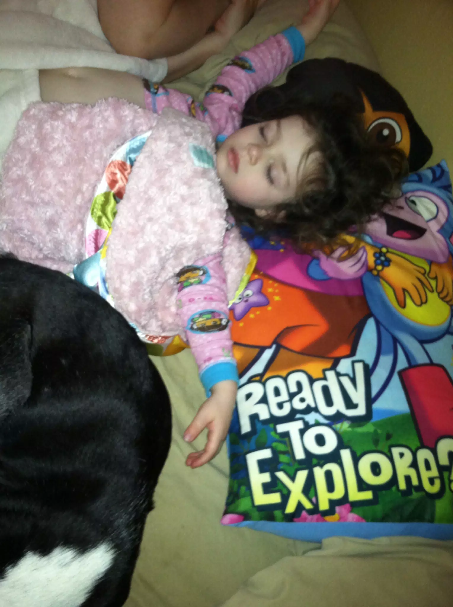 Liesl Asleep