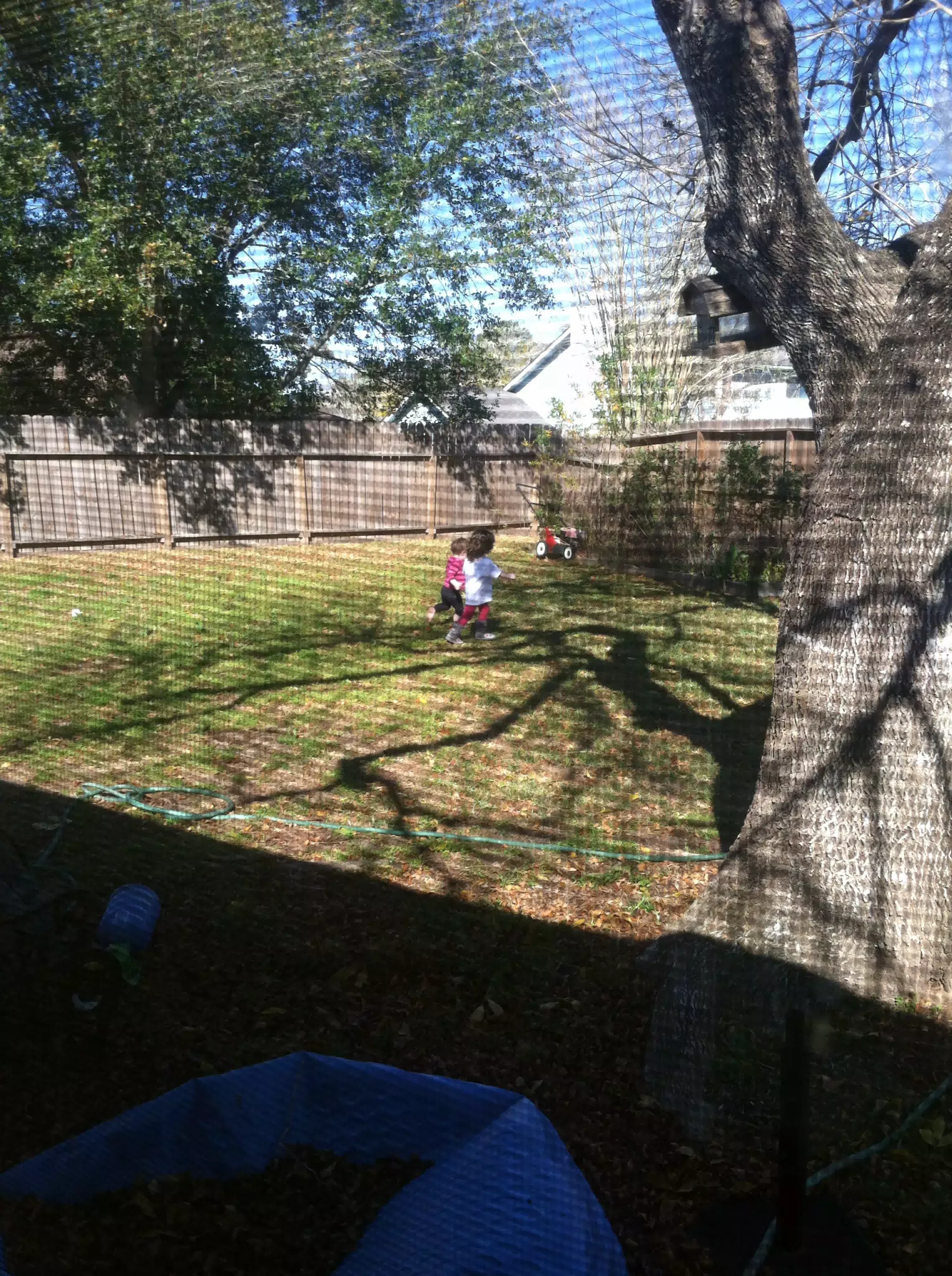 The Kids Playing in the Yard