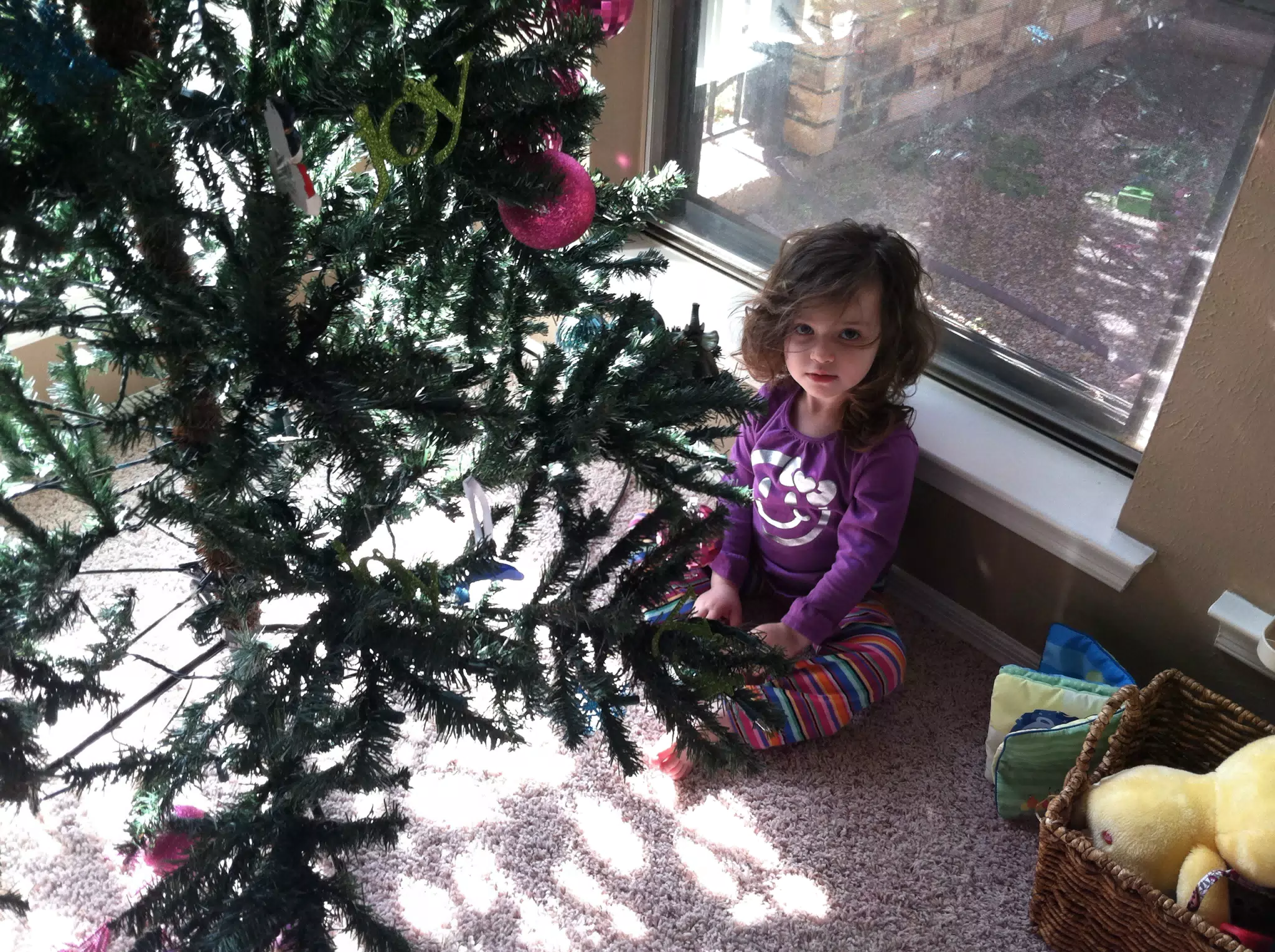 Liesl Behind Christmas Tree