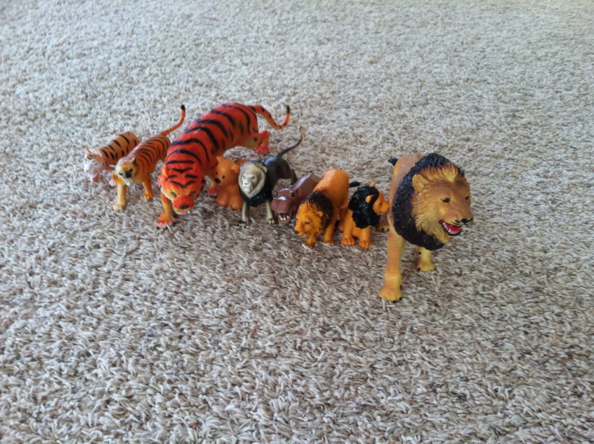 Liesl's Zoo