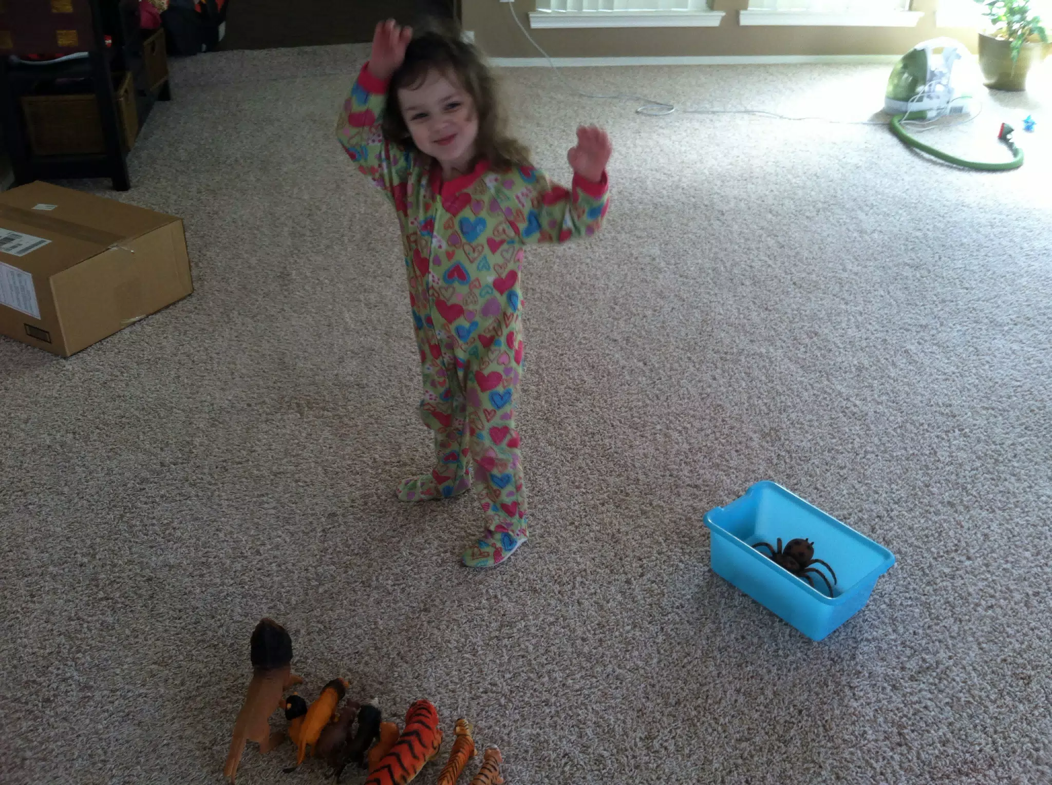 Liesl Showing Off Her Organizational Skills
