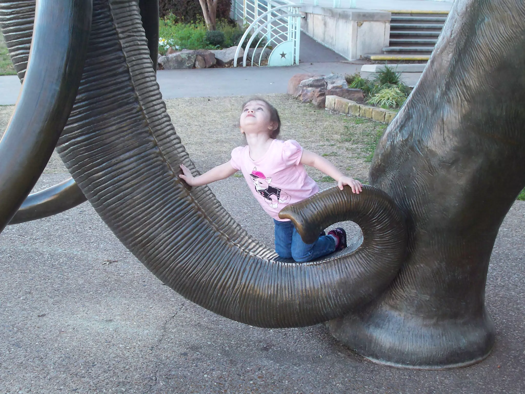 Liesl Climbing the Mammoth