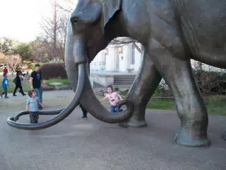 Liesl Climbing the Mammoth