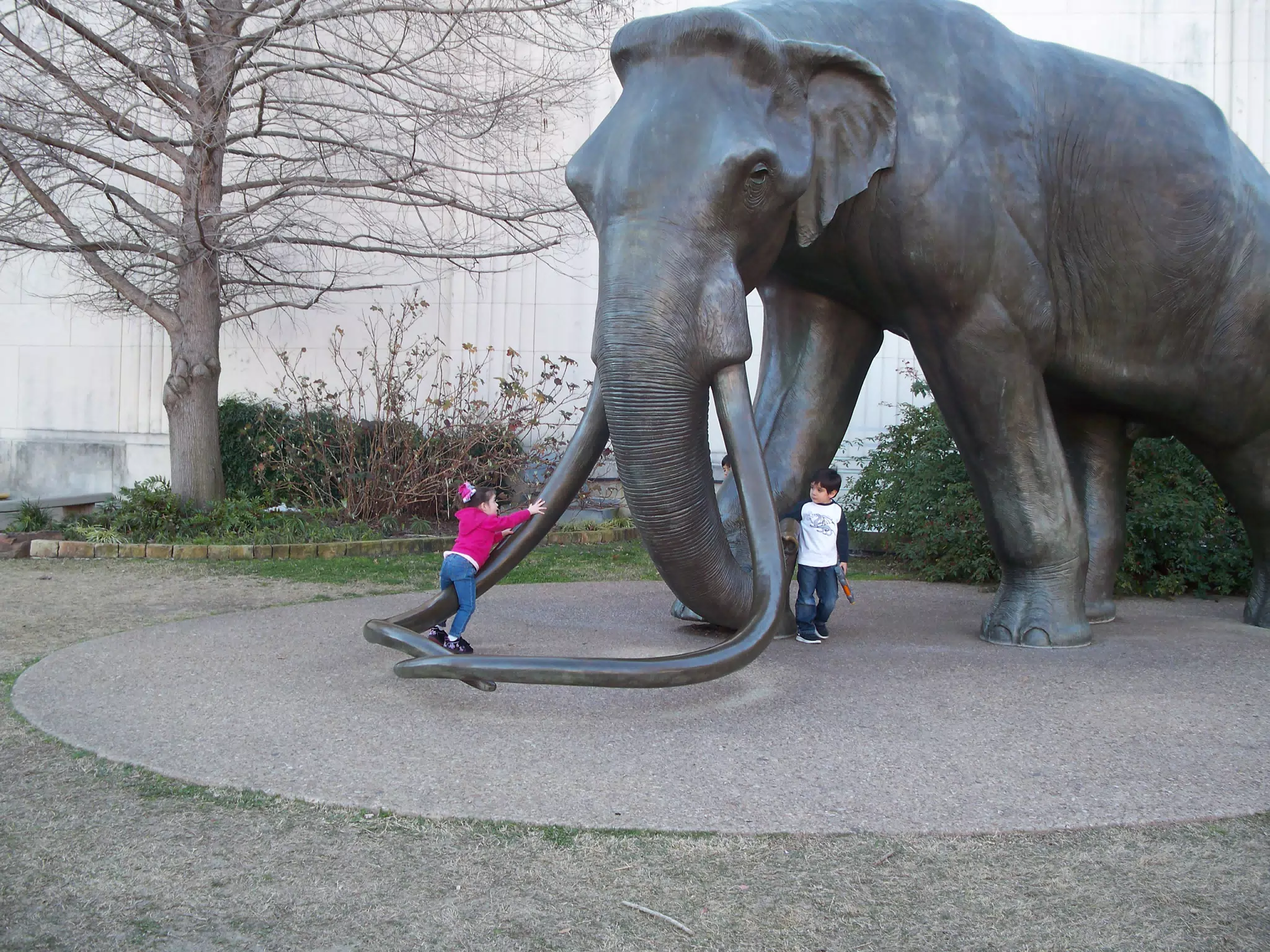 Liesl Climbing the Mammoth