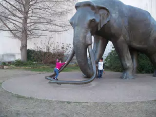 Liesl Climbing the Mammoth