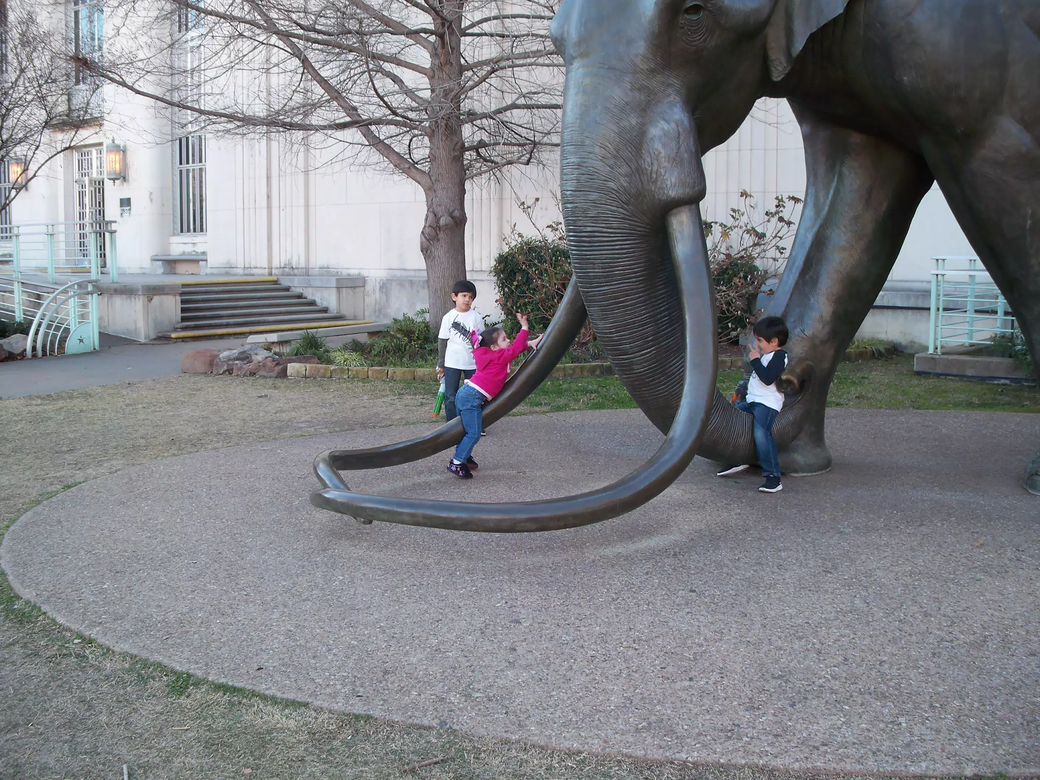 Liesl Climbing the Mammoth