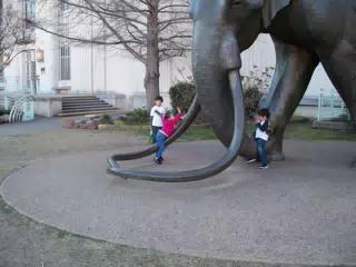 Liesl Climbing the Mammoth