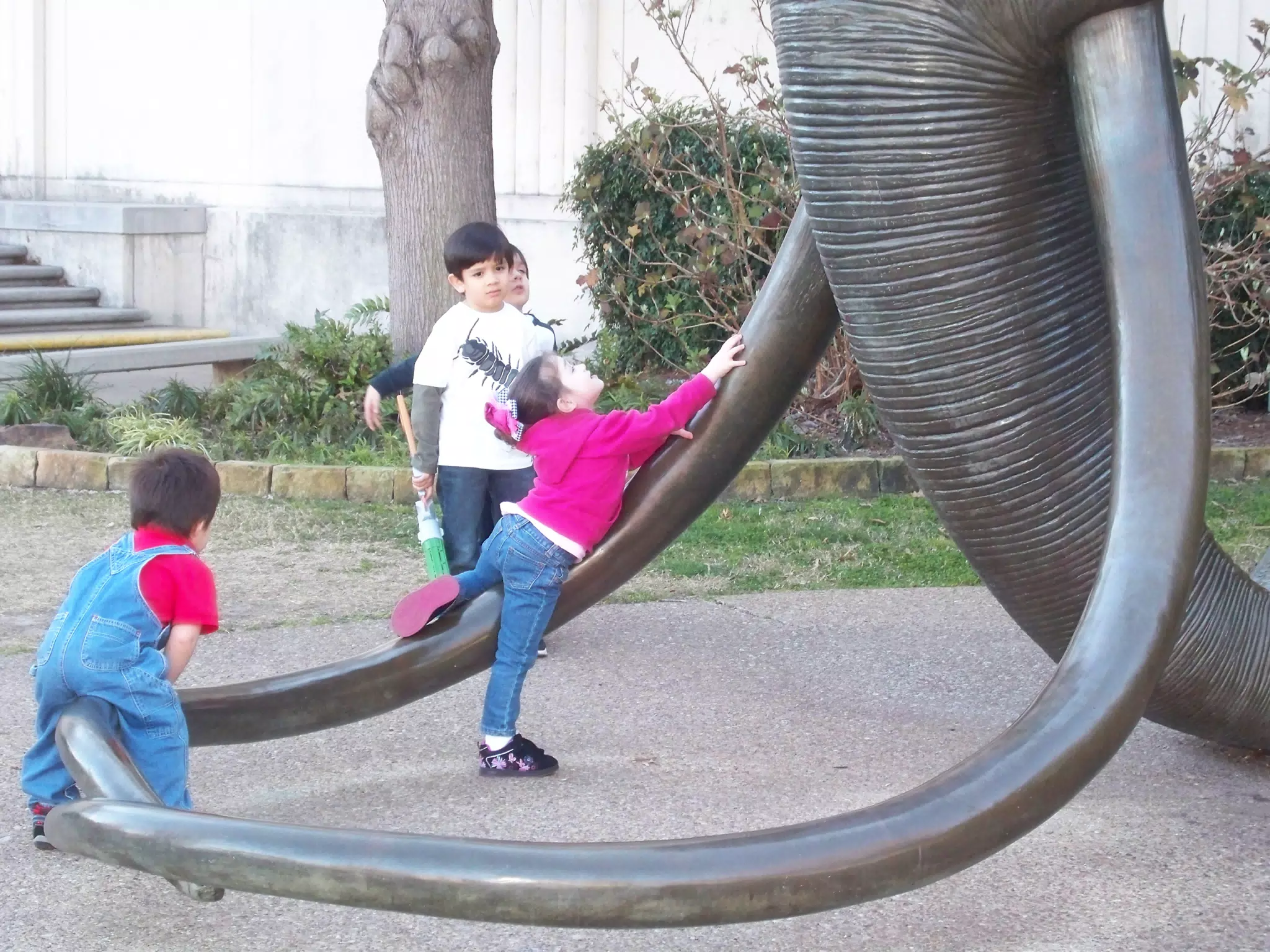 Liesl Climbing the Mammoth