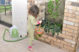 Liesl Found an Egg