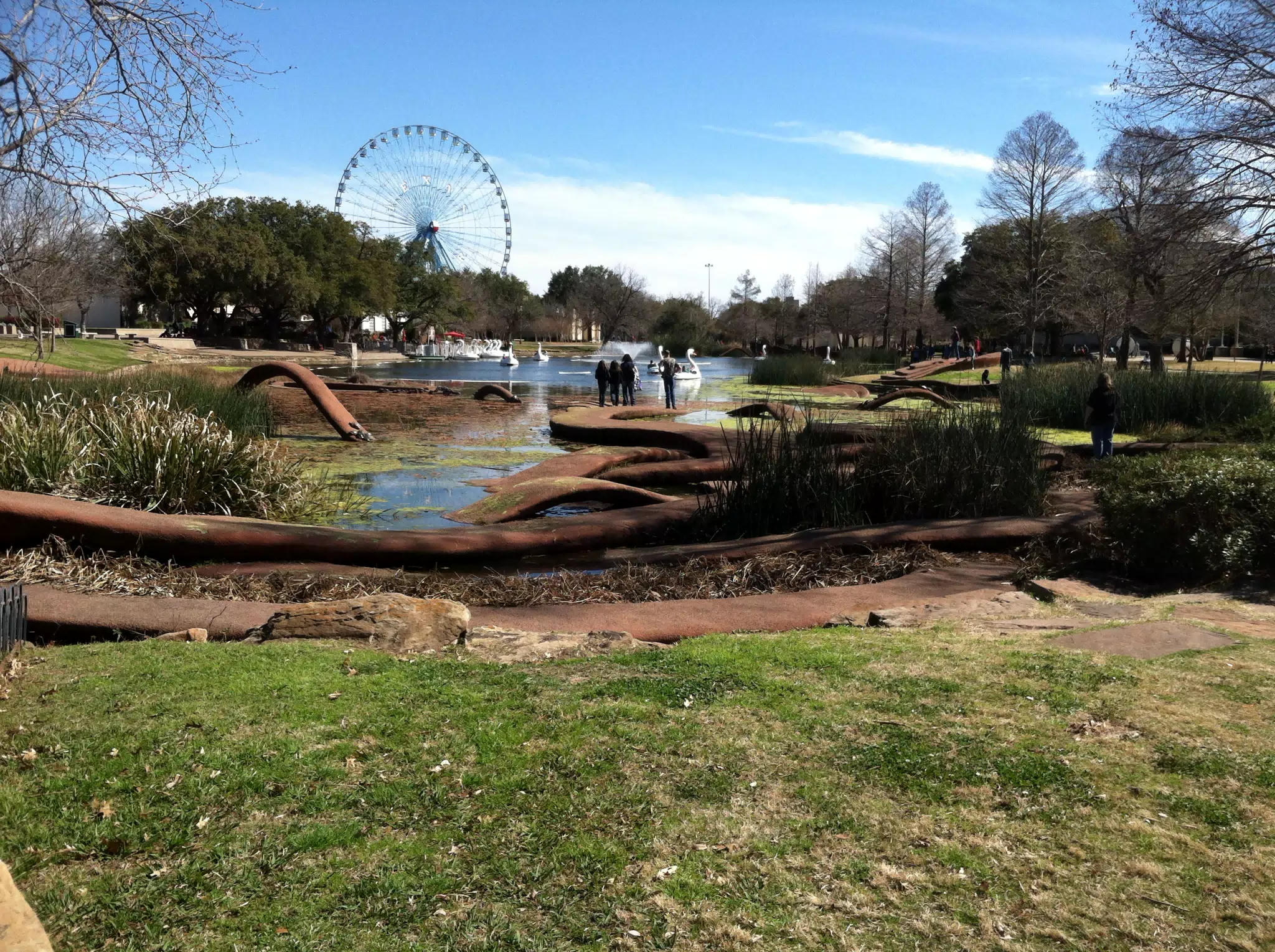 The Pond at Fair Park