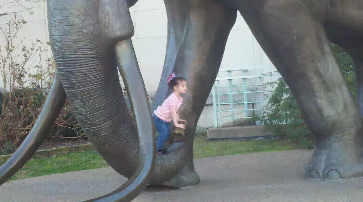 Liesl Trying to Climb the Mammoth
