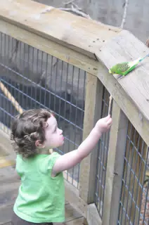 Liesl Feeding the Bird